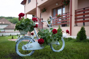 Hotels in Sic
